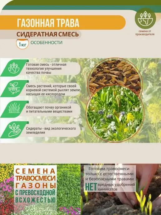 МосАгроГрупп Семена Сидератная смесь 1 кг для посева, 1 кг, фото 7