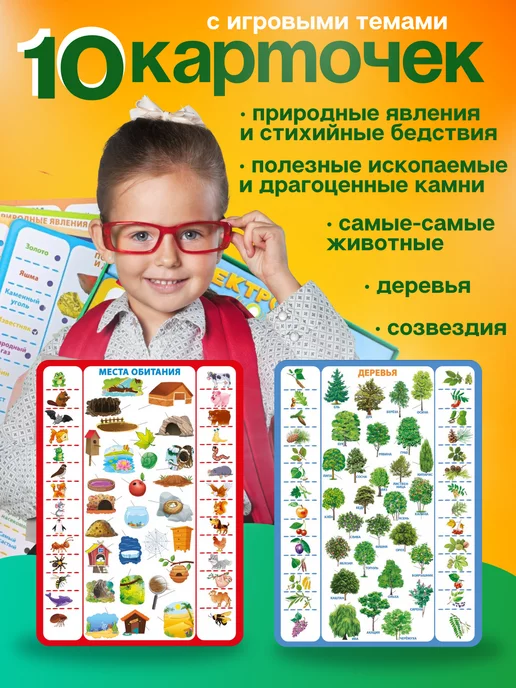 Рыжий кот. Электровикторина развивающие игры для подготовки к школе, вариант, фото 2