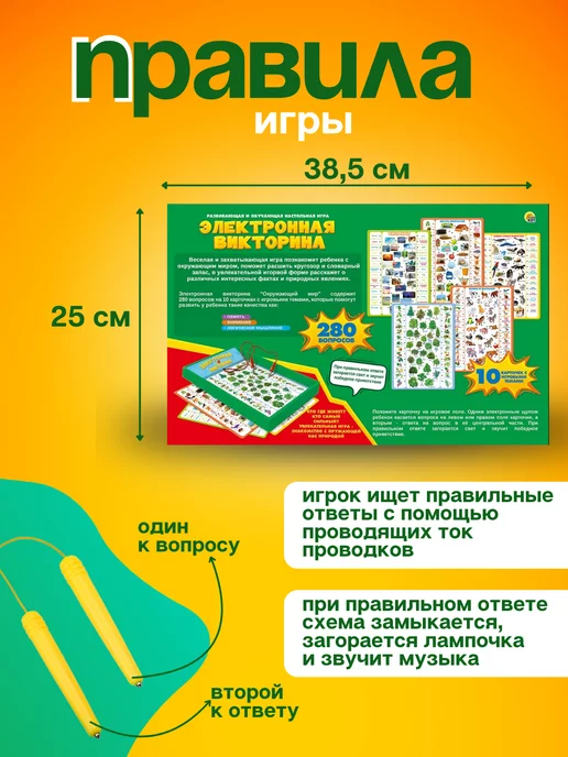 Рыжий кот. Электровикторина развивающие игры для подготовки к школе, вариант, фото 4