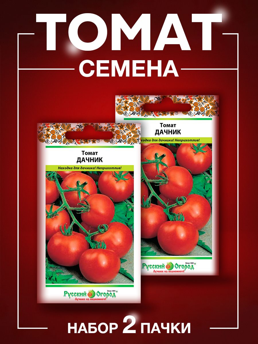 Помидор дачник описание сорта отзывы. Семена томат Дачник. Помидоры Дачник фото. Томат Дачник огородное изобилие. Томат Дачник 0,1 г п.6 +.