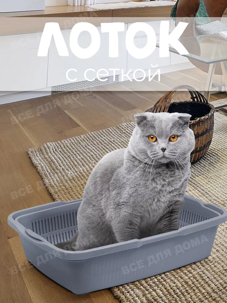 Лоток для котят с сеткой, серый DD Style 61075629 купить за 559 ₽ в  интернет-магазине Wildberries