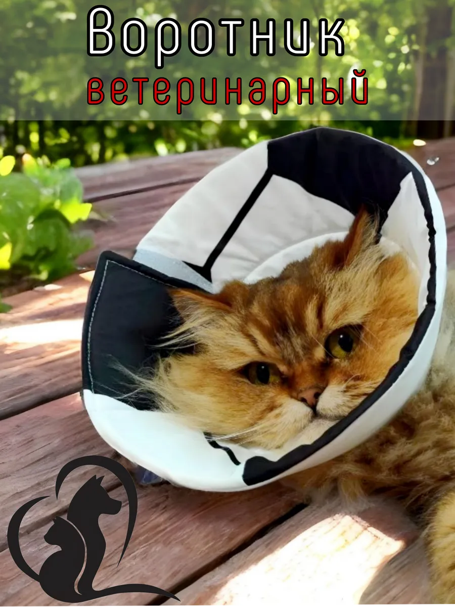 Воротники, перчатки, шприцы