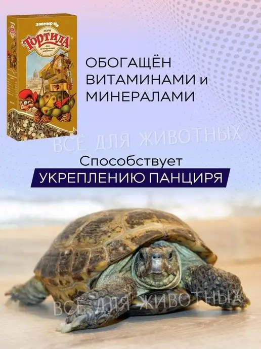 Зоомир Корм для сухопутных черепах, витамины для черепах, 170г, 170 г, фото 5