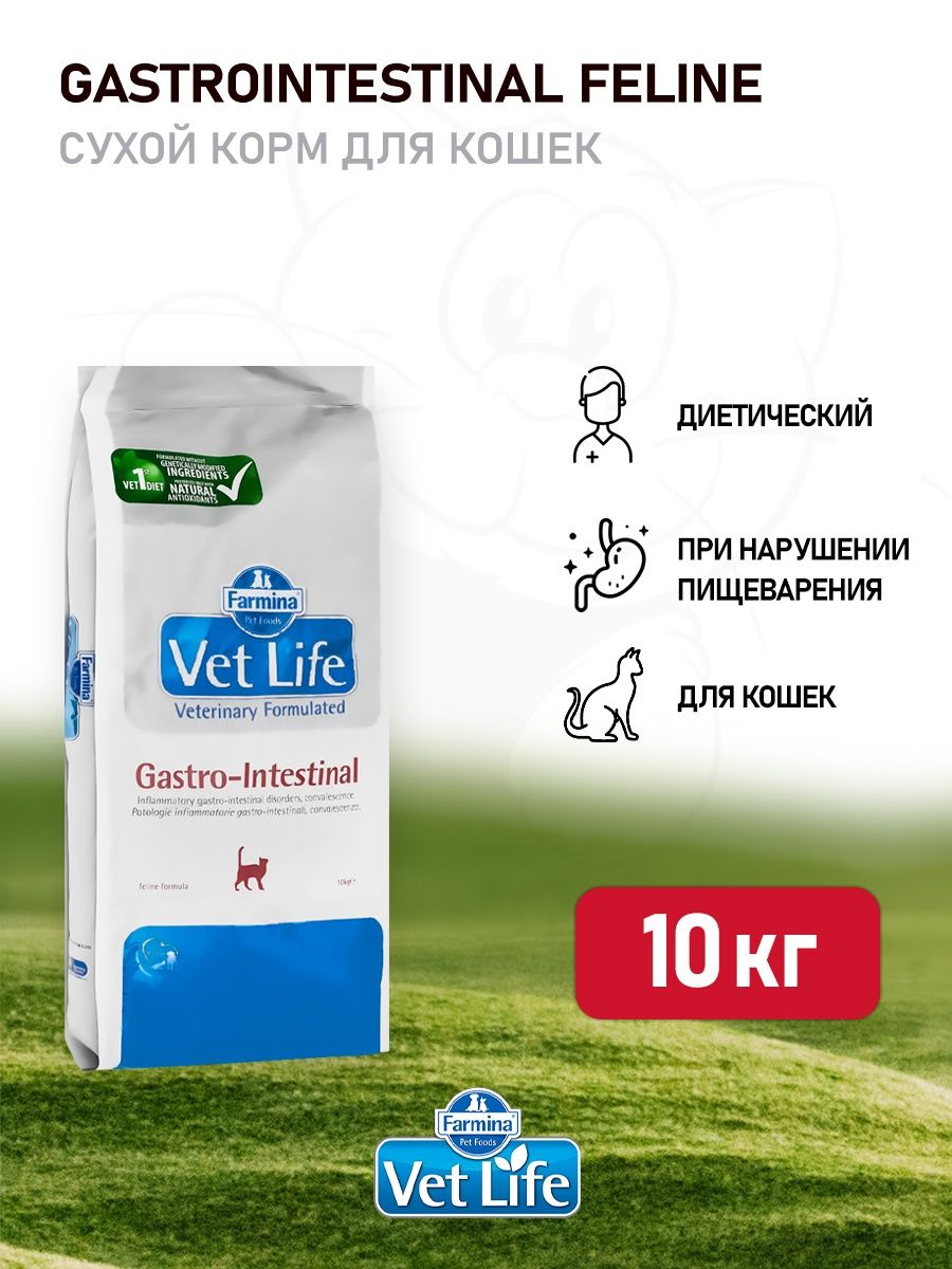 Farmina vet life gastrointestinal для кошек. Фармина гастроинтестинал. Vet Life Gastrointestinal диетический сухой корм. Vet Life Gastrointestinal для кошек. Фармина ультрагипо для кошек.