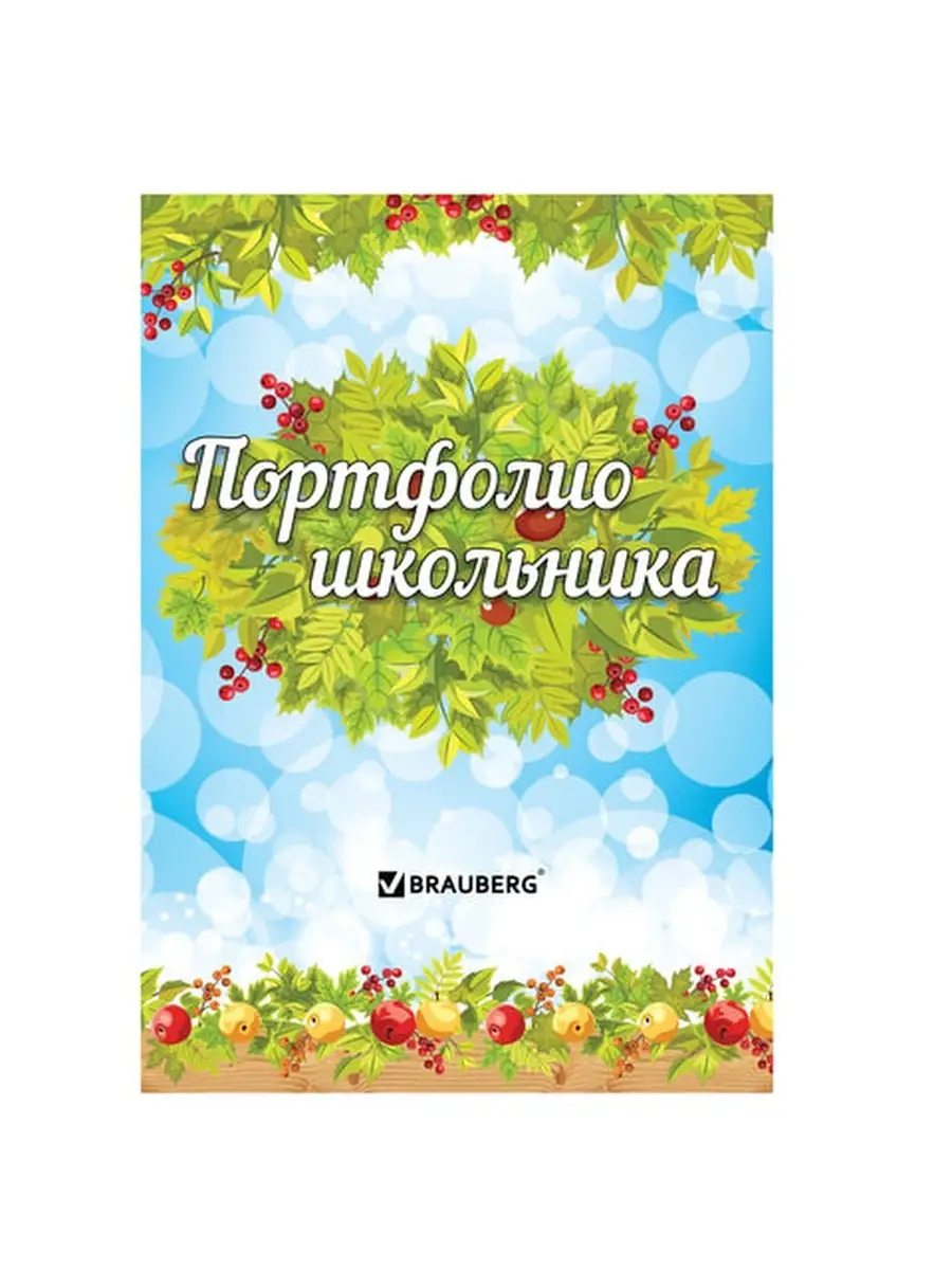 Портфолио