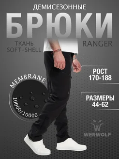 Брюки теплые карго SOFT-SHELL WERWOLF 61235141 купить за 5 465 ₽ в интернет-магазине Wildberries