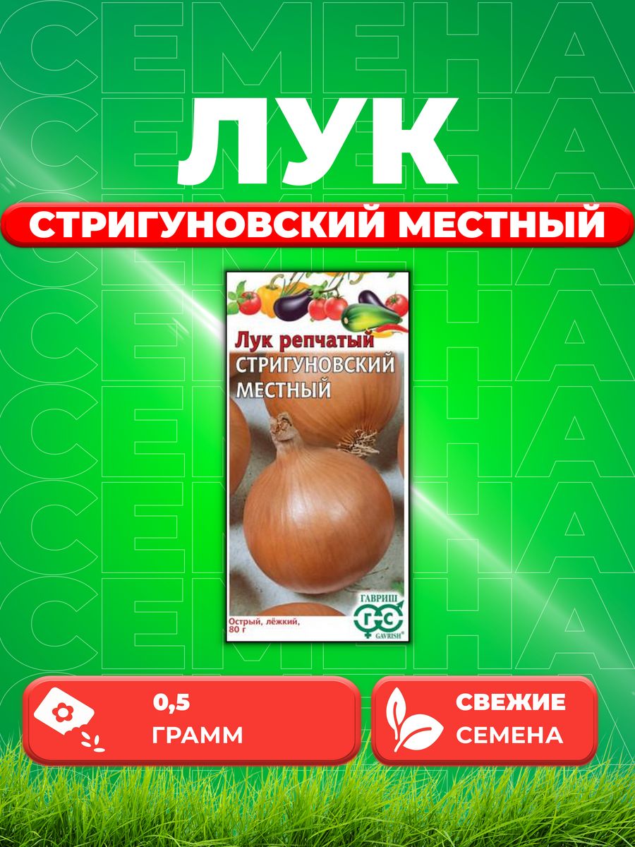 Лук репчатый стригуновский местный