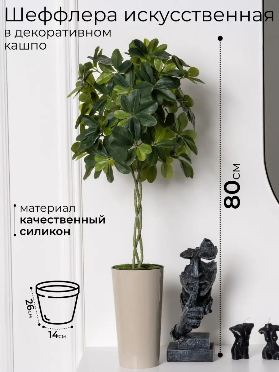 Искусственное растение Шеффлера Mriya Fleur 61243879 купить за 2 702 ₽ в  интернет-магазине Wildberries