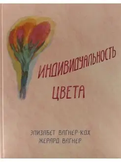 Индивидуальность цвета. Путь упражнений по живописи Деметра 61396210 купить за 907 ₽ в интернет-магазине Wildberries