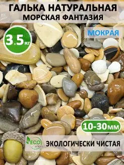 Галька "Морская фантазия" 10-30мм 3.5кг Ландиа 61423810 купить за 270 ₽ в интернет-магазине Wildberries