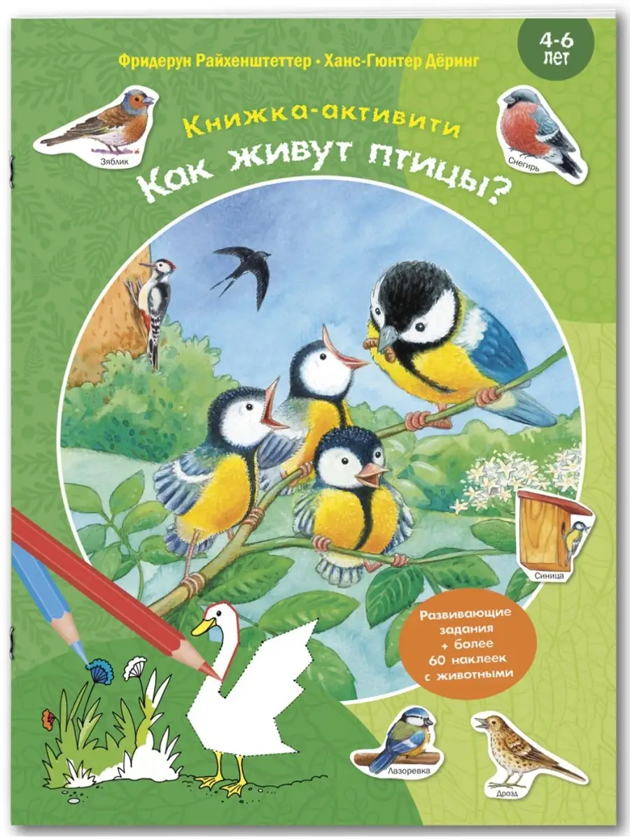 Как живут птицы? Развивающие задания