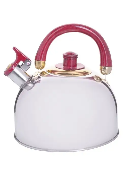 Чайник для плиты - фото 1