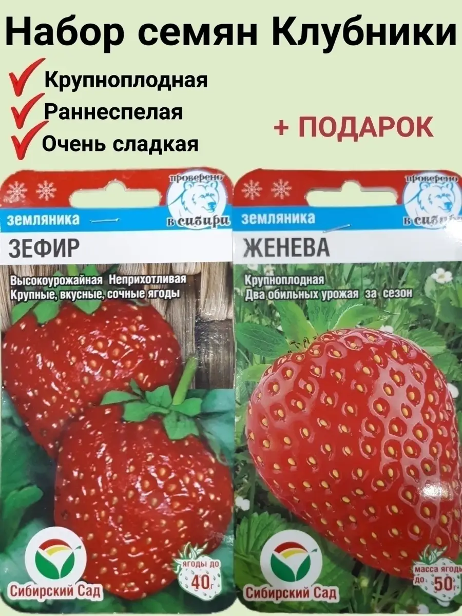 Семена клубники Сибирский сад 61503395 купить за 216 ₽ в интернет-магазине  Wildberries