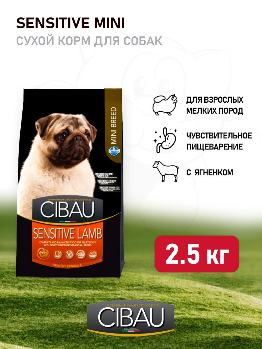 Корм для собак cibau. Cibau sensitive Mini. Cibau корм для собак мелких пород. Farmina Cibau с ягненком для средних пород. Корм для собак мелких пород с чувствительным пищеварением.