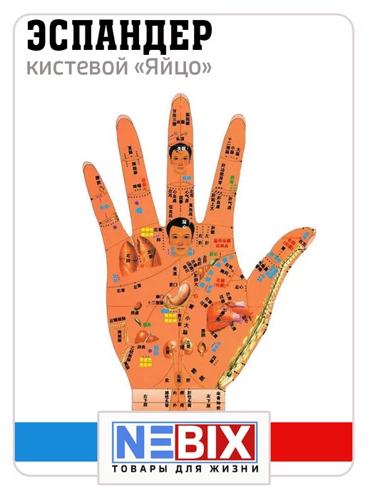 NEBIX Яйцо эспандер для реабилитации кистей рук, оранжевый, фото 4