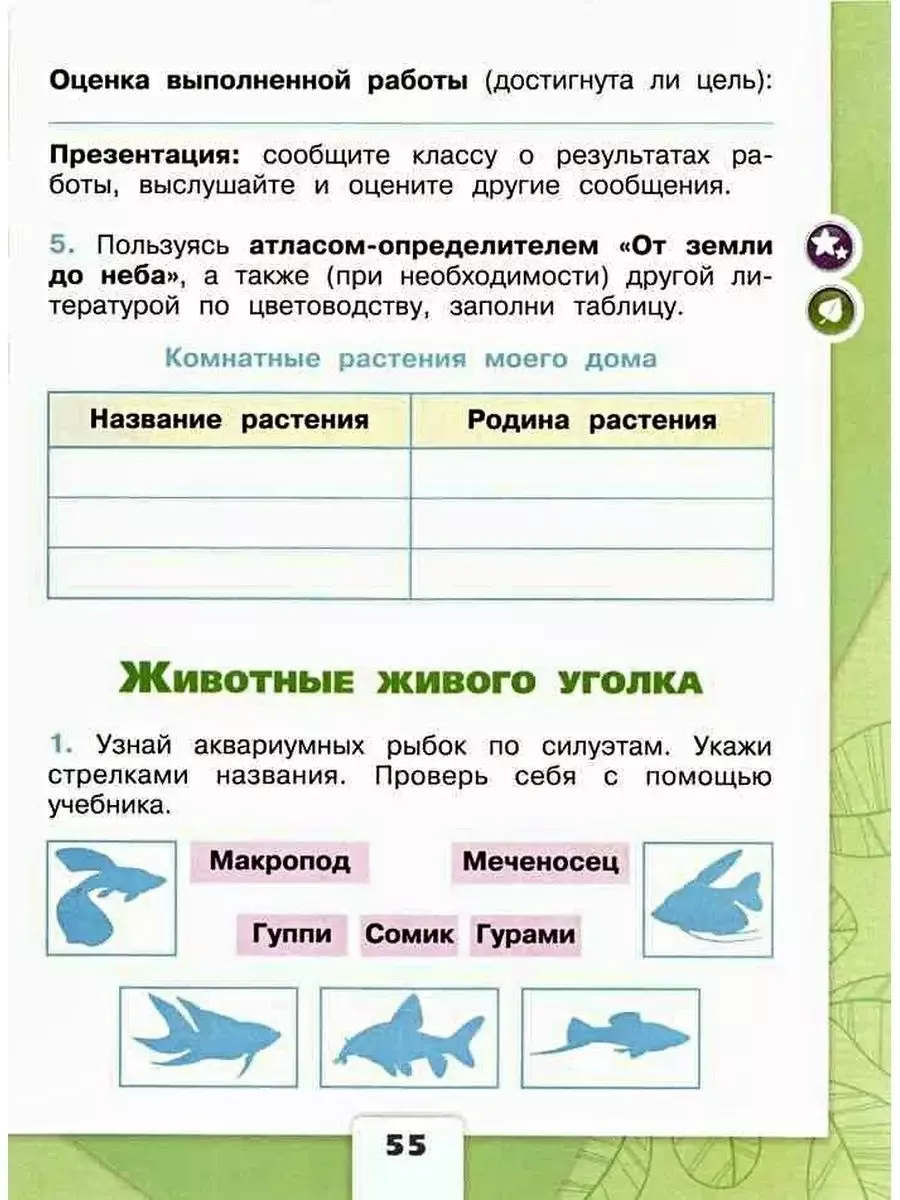 Окружающий мир 2 класс Раб.тетр. Плешаков Комплект. ФГОС Просвещение  61748549 купить за 739 ₽ в интернет-магазине Wildberries