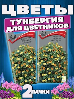 Семена цветов Тунбергия крылатая для сада Агрохолдинг Поиск 61851687 купить за 152 ₽ в интернет-магазине Wildberries