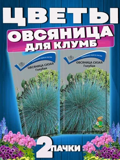 Семена цветов Овсяница Сизая Голубая для газона клумб сада Агрохолдинг Поиск 61852046 купить за 139 ₽ в интернет-магазине Wildberries