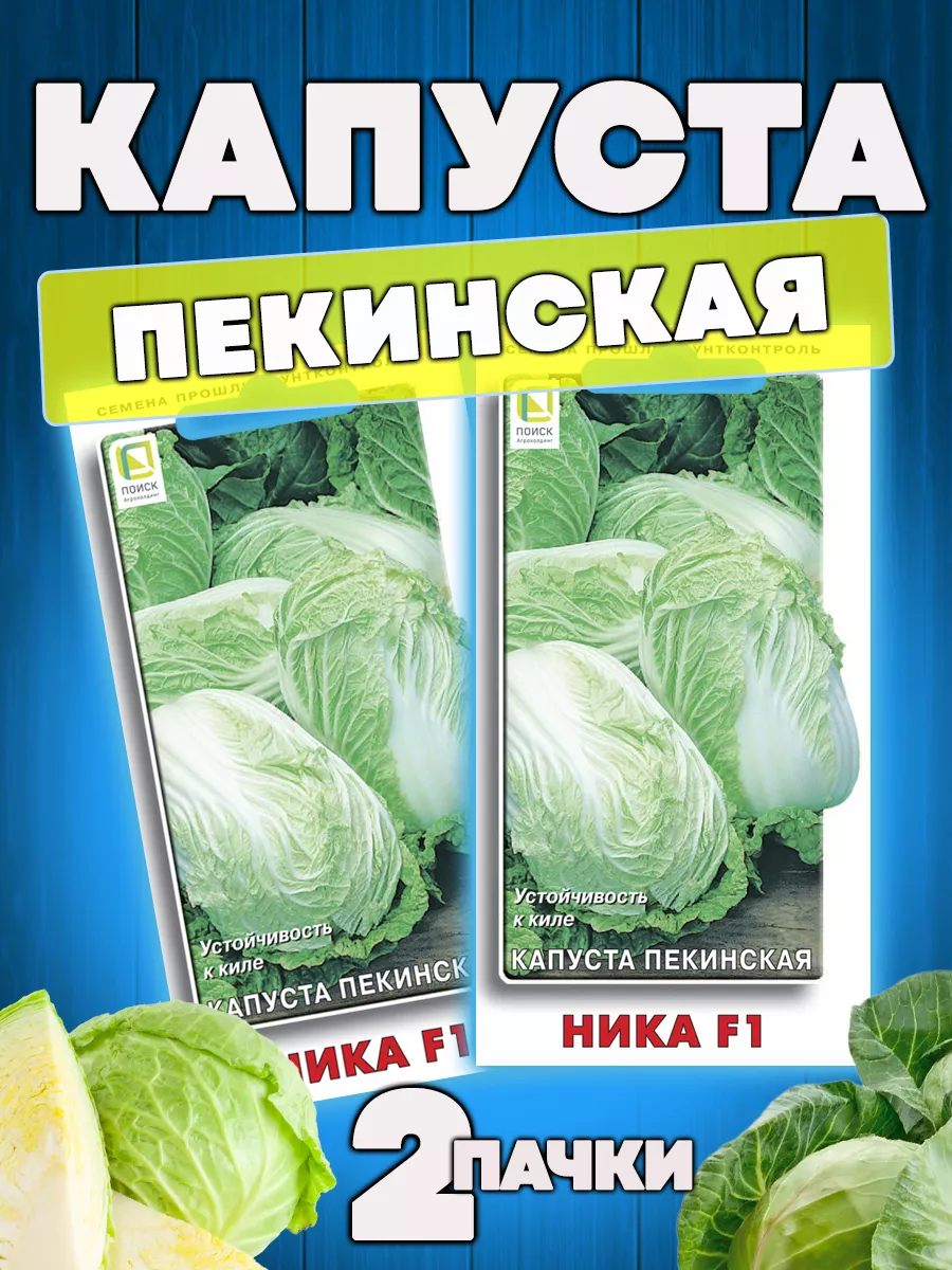 Семена Капусты пекинская Ника F1 позднеспелая нежный вкус ПОИСК 61852065  купить за 214 ₽ в интернет-магазине Wildberries