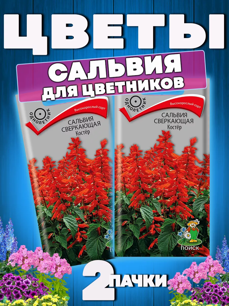 Семена цветов Сальвия...
