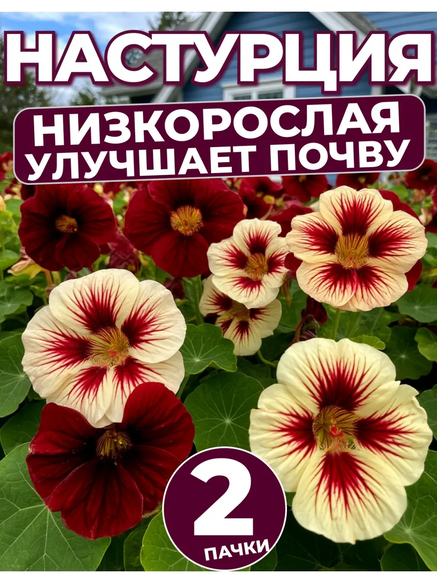 Семена цветов Настурция низкорослая Клубника со сливками