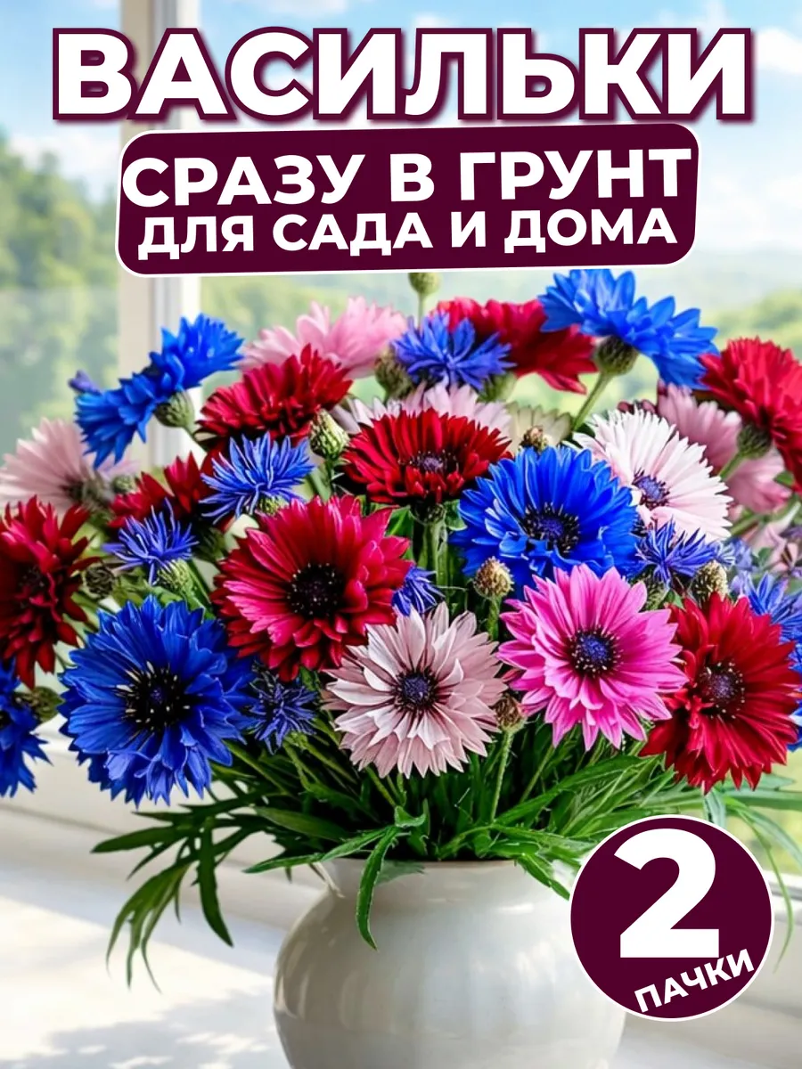Семена цветов Василёк Трио яркий неприхотливый холодостойкий