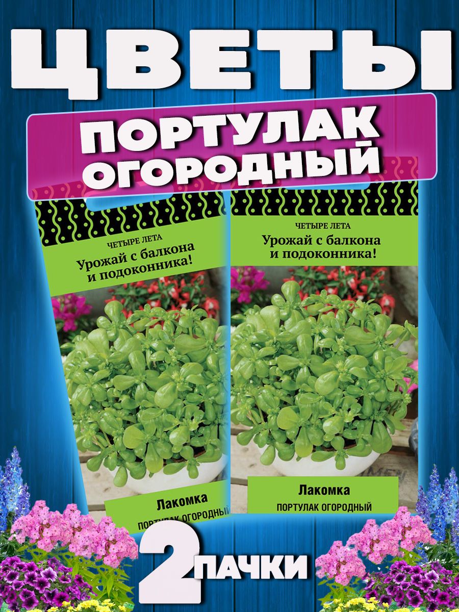 Семена Портулак огородный Лакомка холодостойкий ароматный ПОИСК 61853121  купить за 199 ₽ в интернет-магазине Wildberries