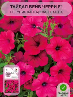 Жетілген әйелдің кискасына жұдырықпен қатты жұдырық.