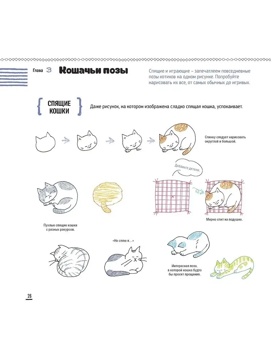 Рисуем котиков. Пособие и скетчбук под одной обложкой КОНТЭНТ 61875793  купить в интернет-магазине Wildberries