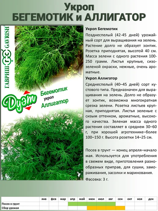 ГАВРИШ Семена зелени укропа и петрушка, зеленый, фото 2