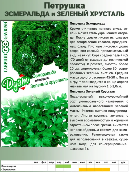 ГАВРИШ Семена зелени укропа и петрушка, зеленый, фото 3