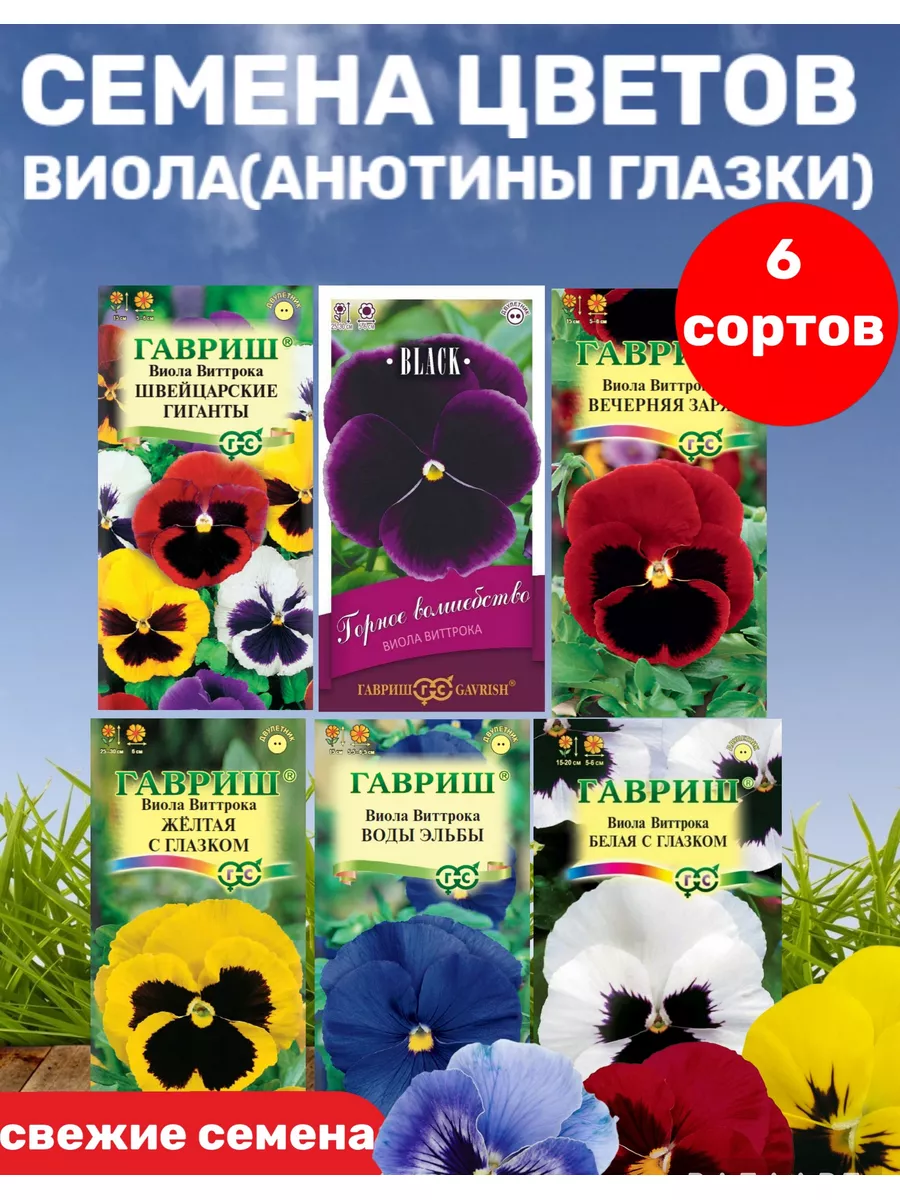 Семена цветы Виола Гавриш 61909205 купить за 404 ₽ в интернет-магазине  Wildberries