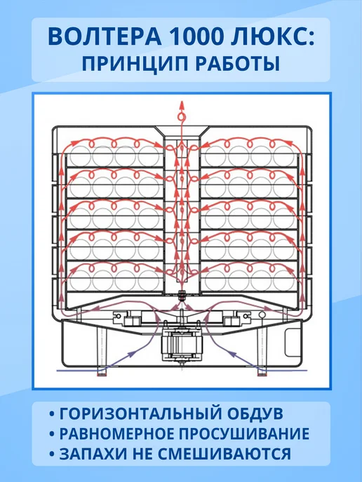 волтера Сушилка 1000 Люкс с таймером (комплект 10-5-5), белый, фото 4