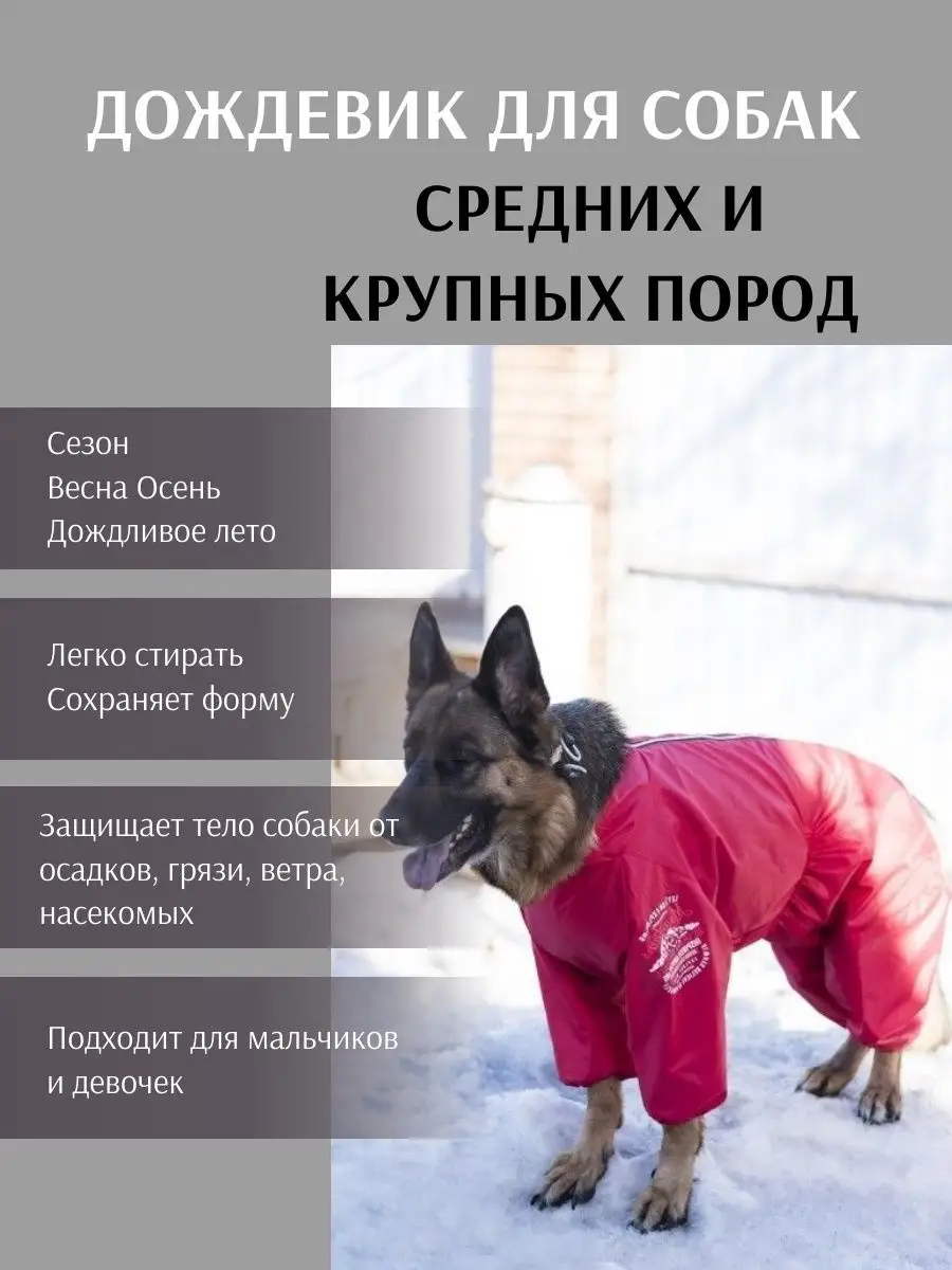 Дождевик для собак средних пород PARADOGS 62138858 купить в  интернет-магазине Wildberries