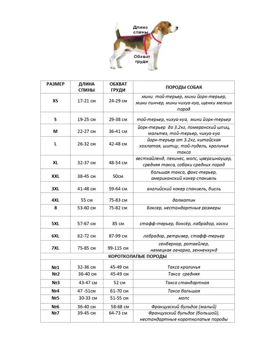 Дождевик для собак средних пород PARADOGS 62138858 купить в  интернет-магазине Wildberries