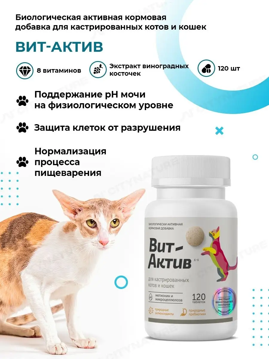 Витам для кошек. Витаминно-аминокислотный комплекс «витам». Витам дозировка для кошек. Витам дозировка для кошек. Витамин для животных инструкция по применению.