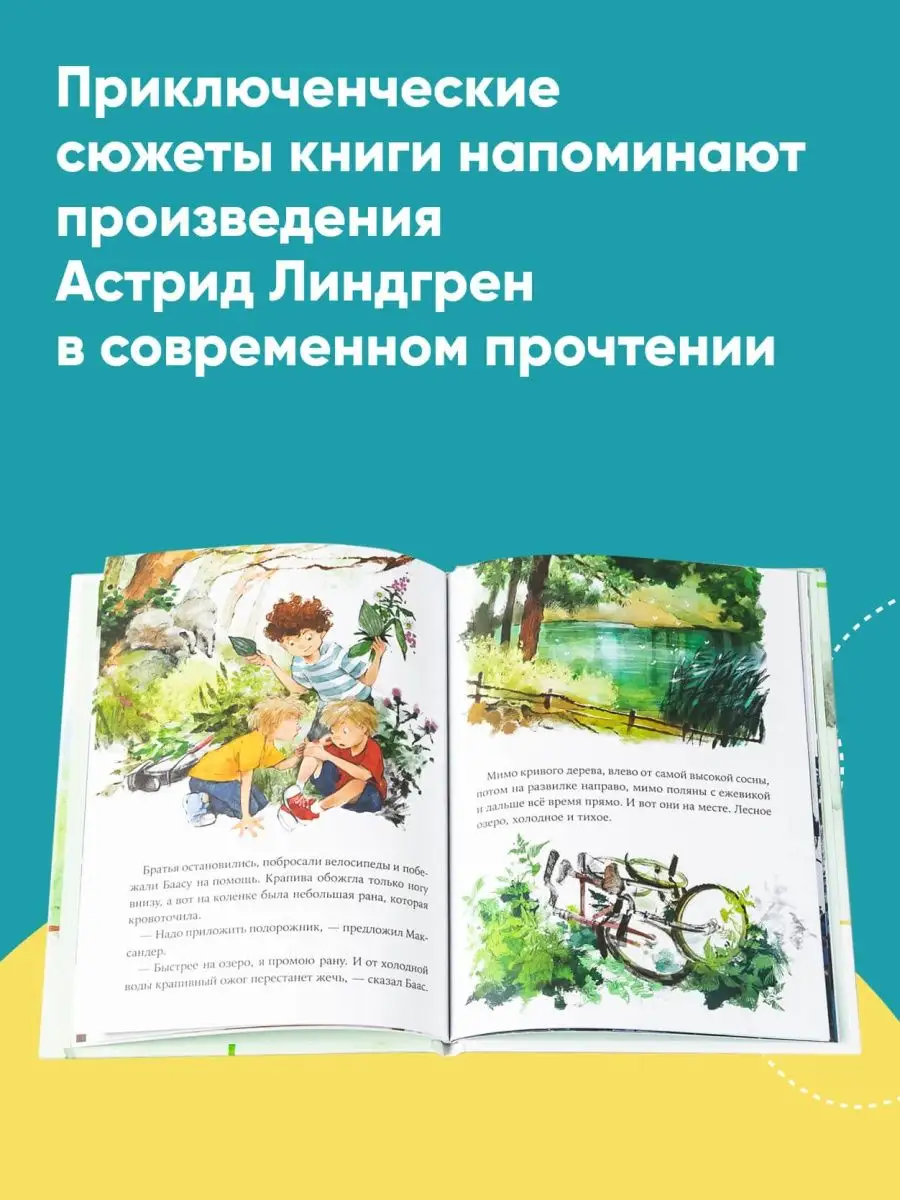 Волшебные камни Бааса Альпина. Книги 62211301 купить за 391 ₽ в  интернет-магазине Wildberries