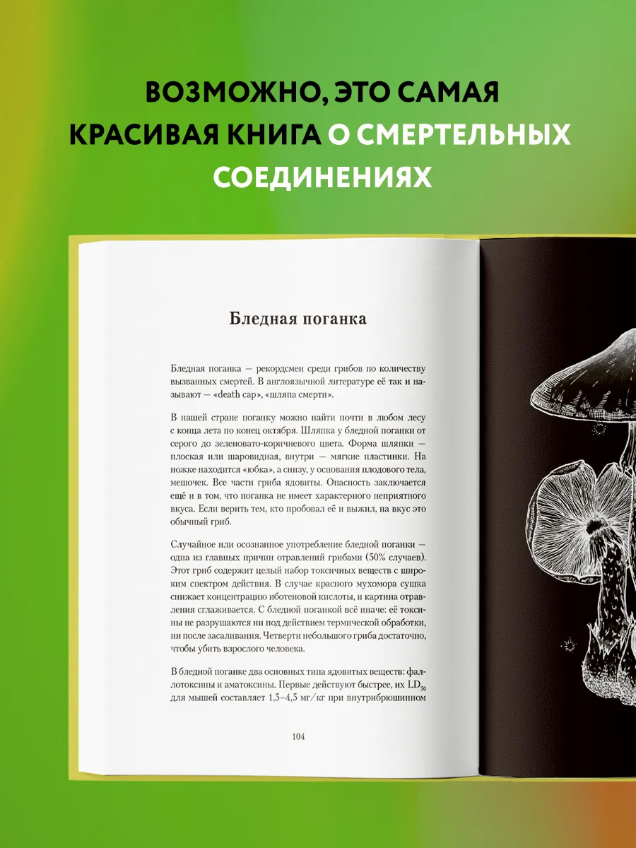 Мисс Россия: какая судьба ждала первых красавиц страны?