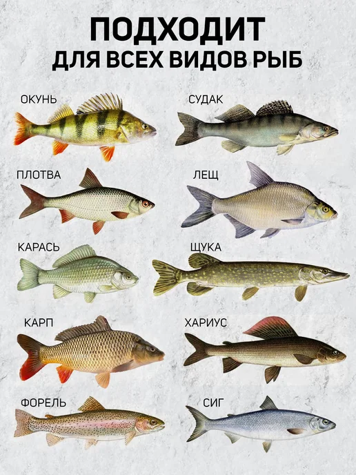 Сибирский Шаман Силиконовые приманки для рыбалки Gammarus, зеленый, фото 3