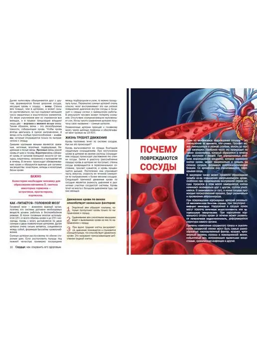 Народный доктор журнал Здоровое сердце, вариант, фото 8