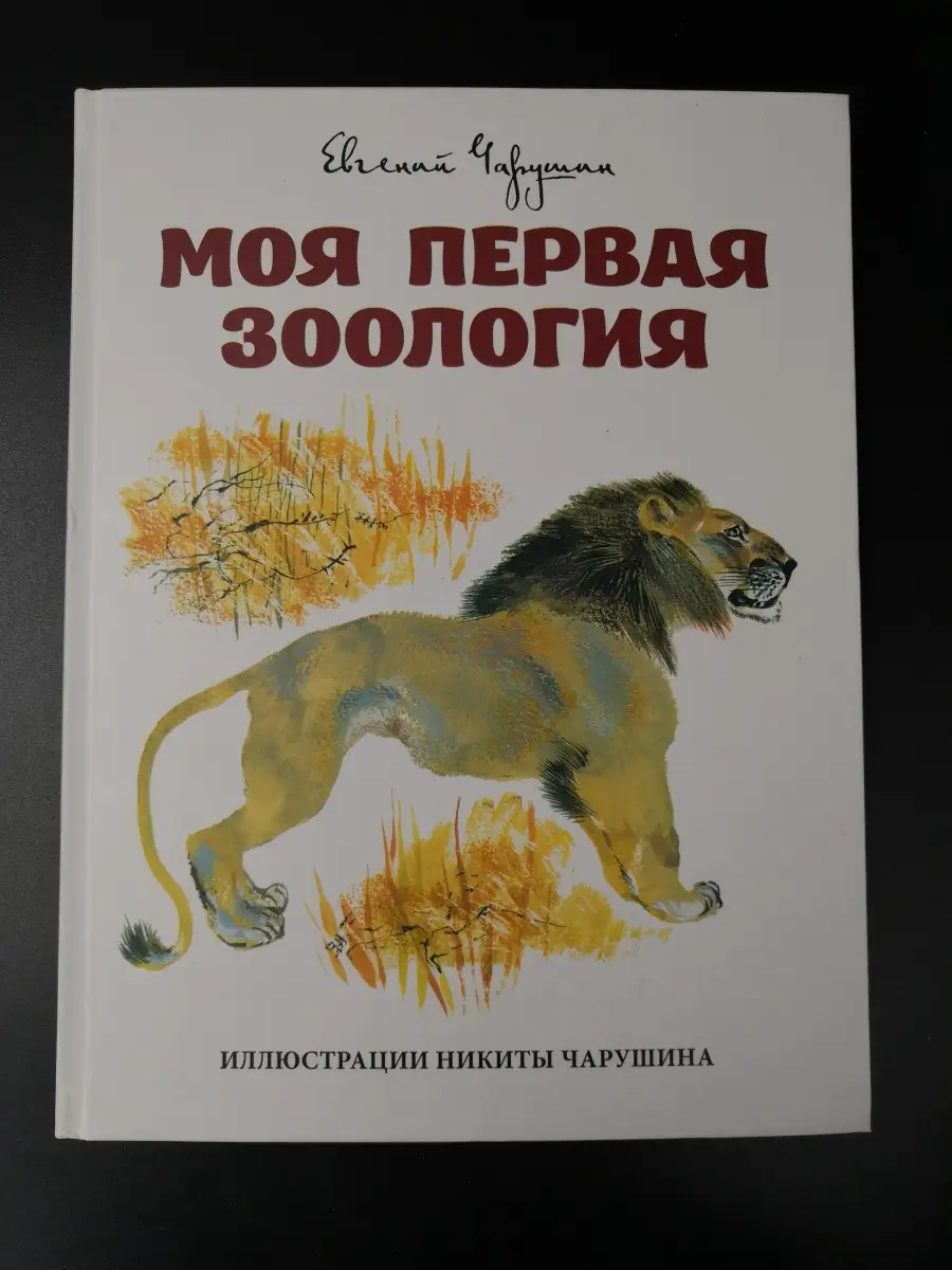 Чарушин Е. / Моя первая зоология Детское время 62703772 купить за 579 ₽ в  интернет-магазине Wildberries