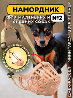 Намордник для мелких и средних собак джек рассела ALANMART 62714543 купить за 680 ₽ в интернет-магазине Wildberries
