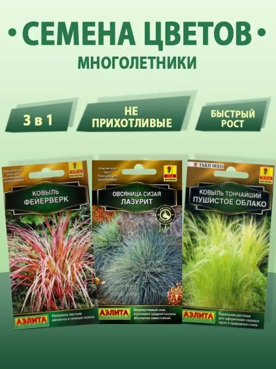 Семена комнатных цветов многолетники 3 в 1 Ковыль Овсяница Денежное дерево  62827666 купить за 235 ₽ в интернет-магазине Wildberries