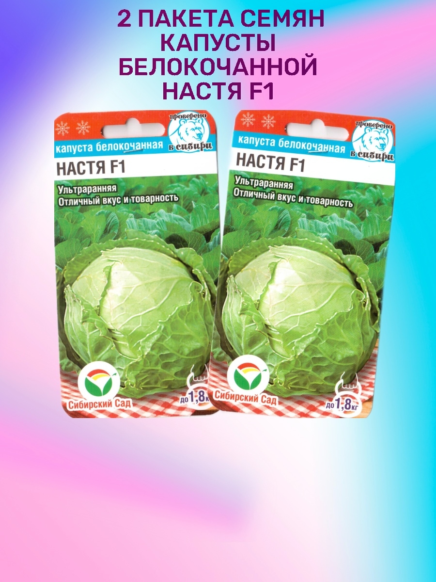 Семена для сибири красноярск каталог розница. Семена для Сибири. Капуста белокочанная белорусская СИБСАД. Капуста БК Настя f1 (Сиб сад). Семена для Сибири Красноярск каталог.
