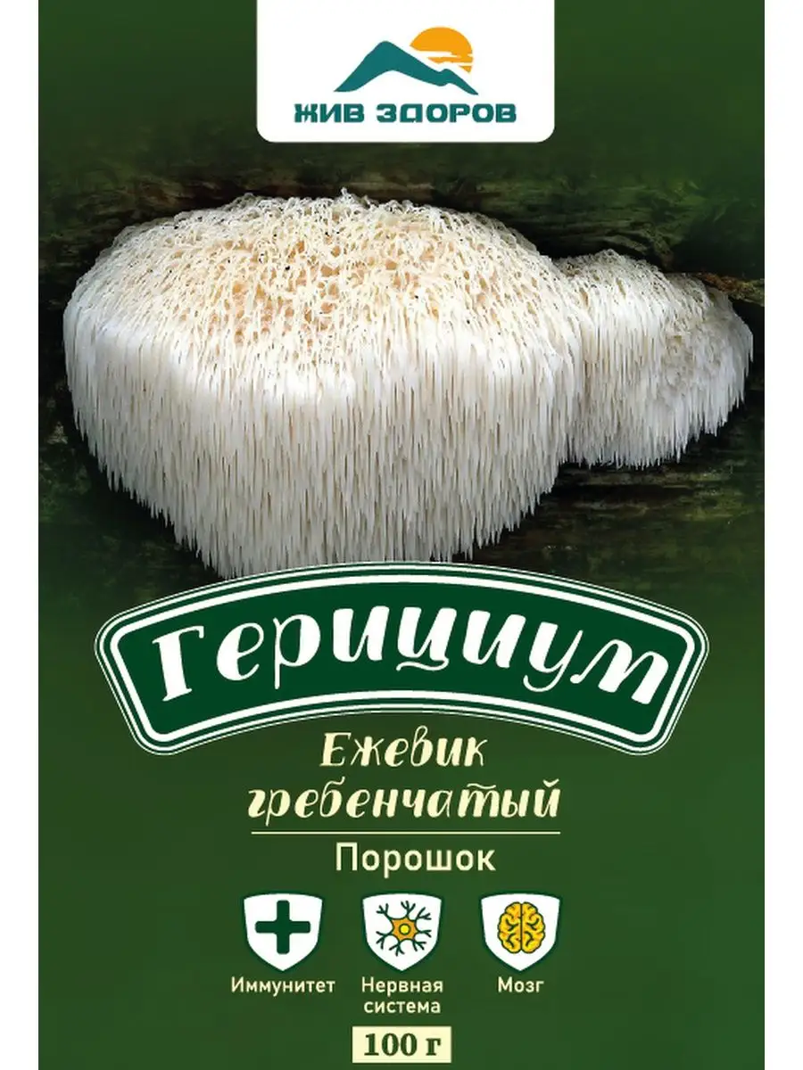 Герициум ежевик гребенчатый порошок,100 Жив Здоров 62946386 купить в  интернет-магазине Wildberries