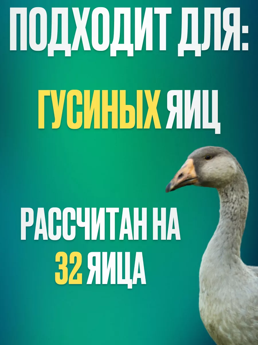 Инкубация гусиных яиц в домашних условиях — фото, видео