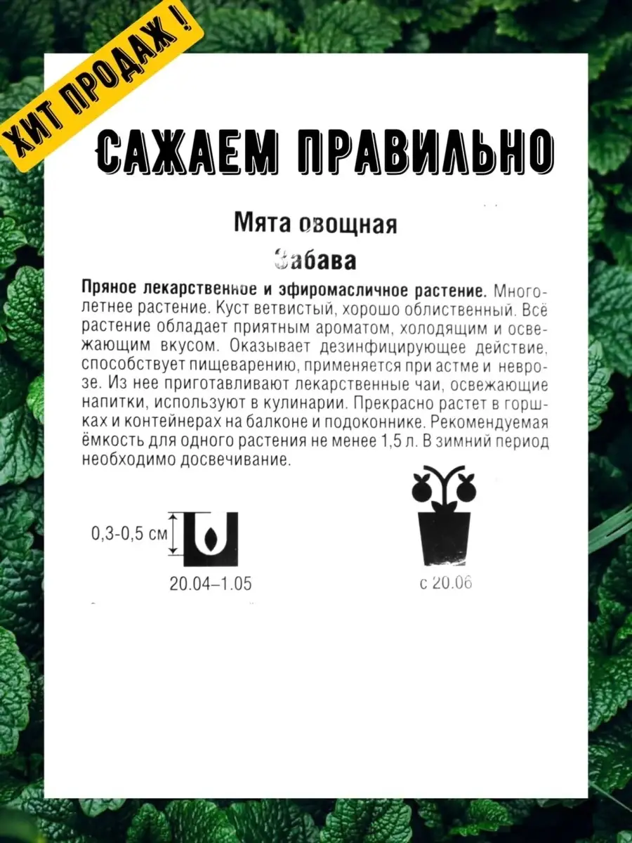 Мята овощная Забава 2 пакета Агрофирма Поиск 63098268 купить за 166 ₽ в  интернет-магазине Wildberries