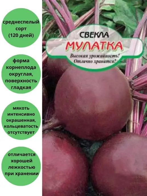 Килограмм свеклы. Свекла 1 кг. Слоеный салат красное море. Свекла 1 кг помидоры 1 5. Салат красный пролетарий на зиму.