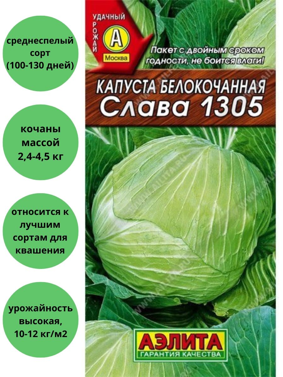 Капуста слава 1305 описание сорта отзывы. Капуста б/к Слава 1305. Капуста Слава 1305. Капуста белокочанная Слава. Семена капусты.