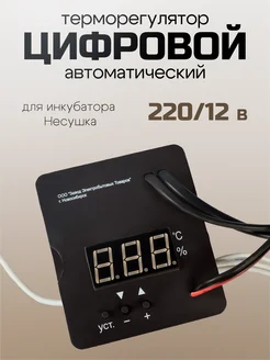 Терморегулятор цифровой для инкубатора 220/12 В 63213007 купить за 2 749 ₽ в интернет-магазине Wildberries